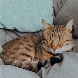 Meet your Posher, Avery